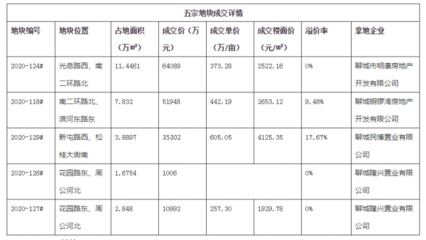 山东铜锣湾房地产开发